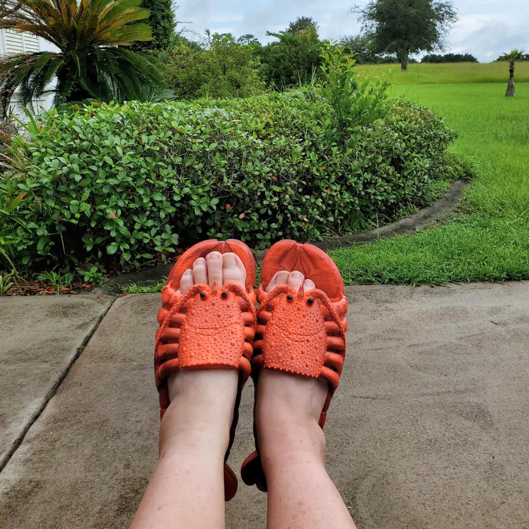 🦞 Lobster Flipflops