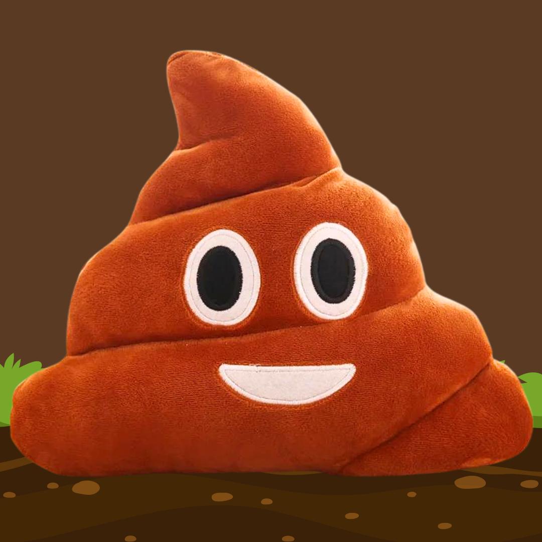 Poop Pillow