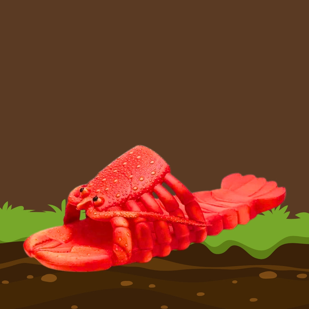 🦞 Lobster Flipflops