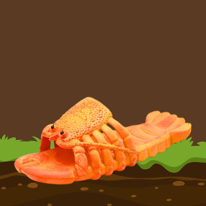 🦞 Lobster Flipflops