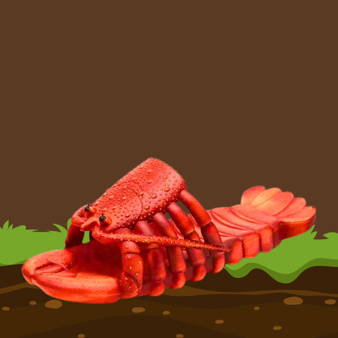 🦞 Lobster Flipflops